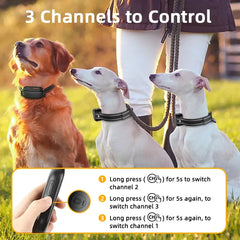 Electric Pet Training Collar