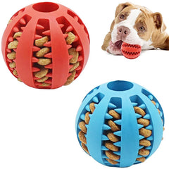 Interactive Dogs Ball