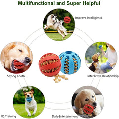 Interactive Dogs Ball