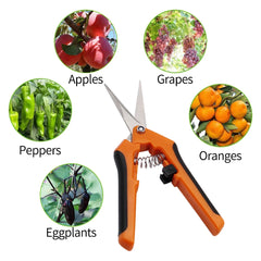 Garden Pruning Shears