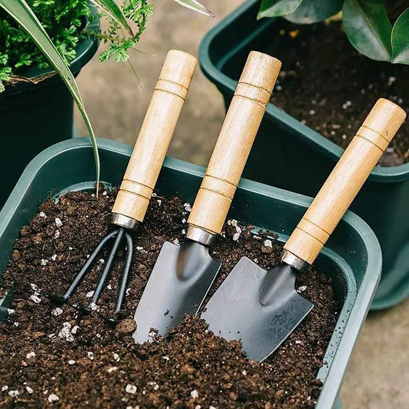 Mini Garden Tool Set